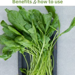 Green and Mighty Watercress: Unmasking the Healthiest Vegetable